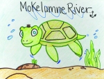 A drawing of a turtle swimming underwater.